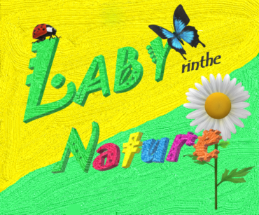 Labyrinthe Nature ouvre son site web.